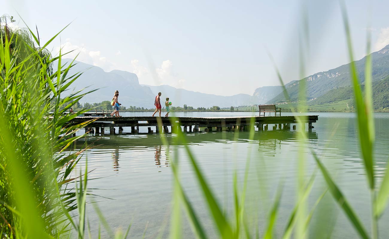 Steg mit Badegästen umgeben von einer Schilfslandschaft mitten im Kalterersee