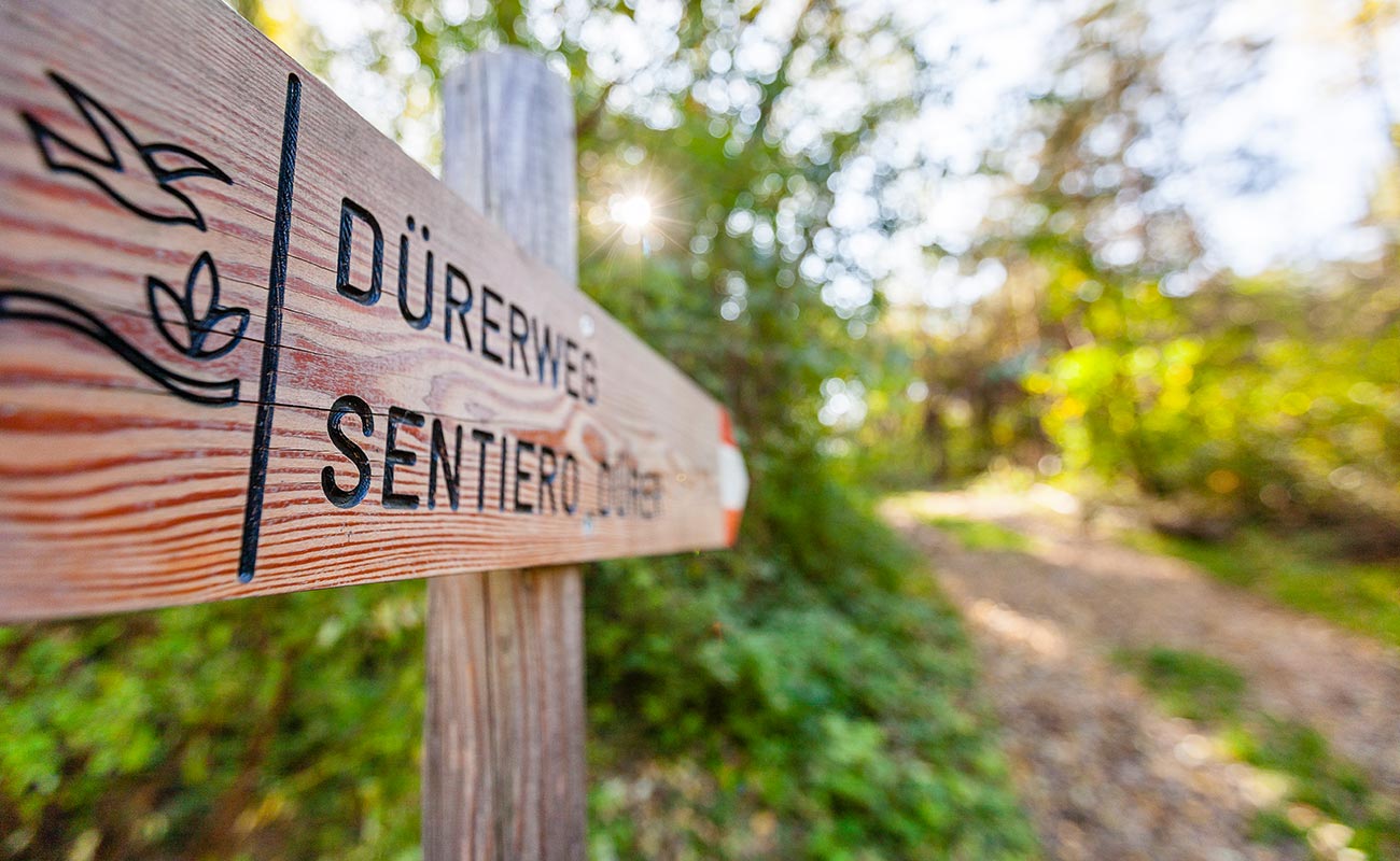 Nahaufnahme eines Wanderweges und hölzerndes Wanderschild rund um den Kalterer See