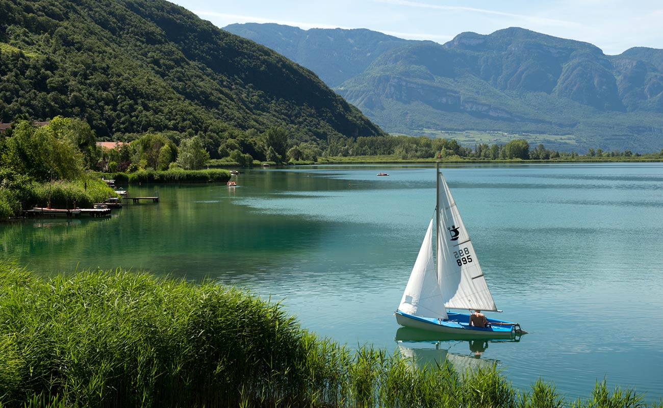 Blaues Segelboot auf dem grünblauen Kalteresee mit herrlicher Schilfslandschaft am Ufer