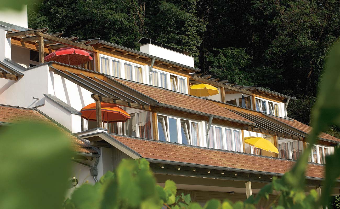 Windows and terraces of Residence Kalterer See