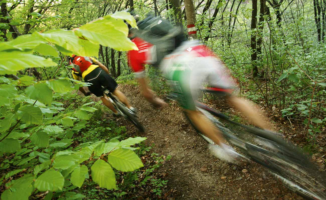 Ciclisti sfrecciano nel bosco