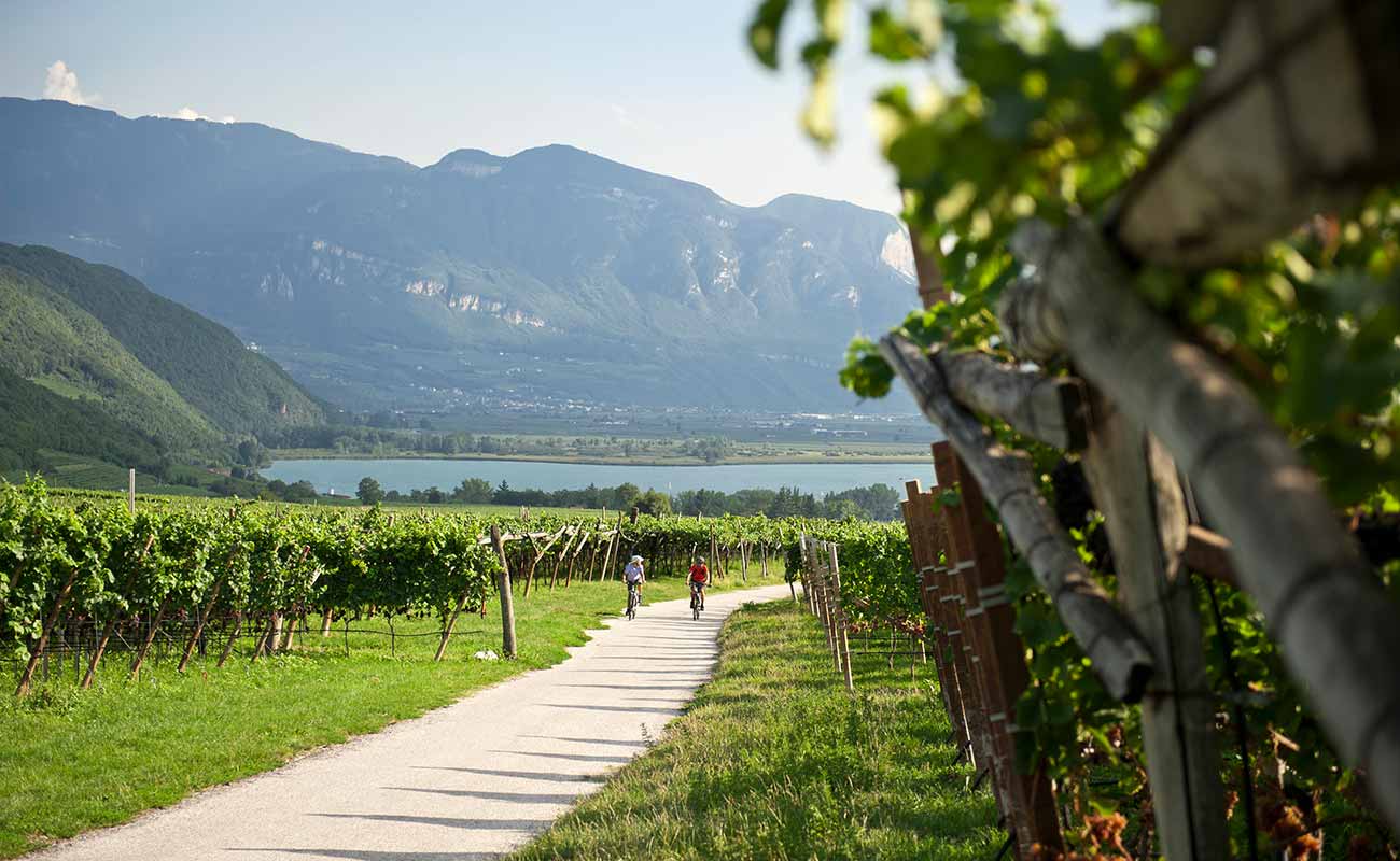 Persone in mountainbike su una strada sterrata dai vigneti del Lago di Caldaro