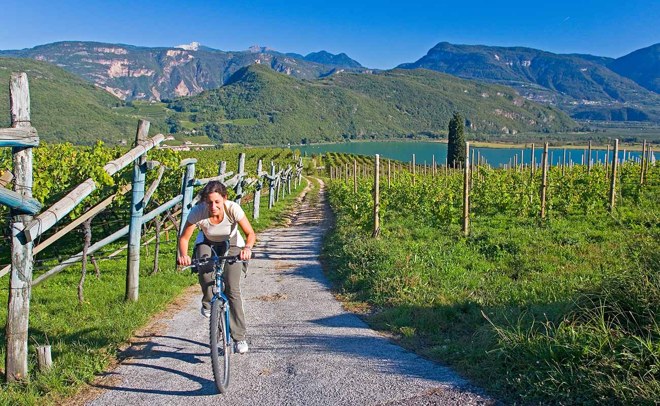 Eine einzelne Radfahrerin auf einem Radweg mitten zwischen Reben mit dem Kalterersee im Hintergrund