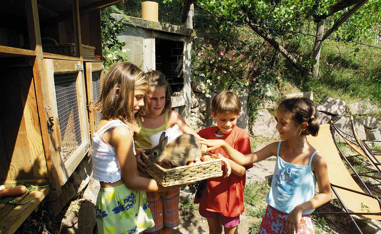 Kinder beim Streicheln von einem Hasen im Streichelzoo vom Residence Haus Kalterer See