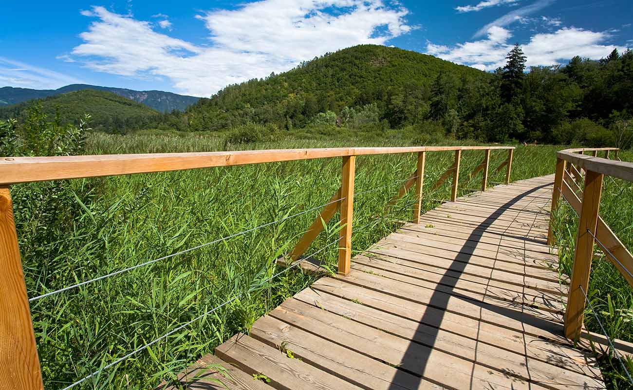 Holzsteg am Kalterersee mitten im Schilf zum Wandern über dem See