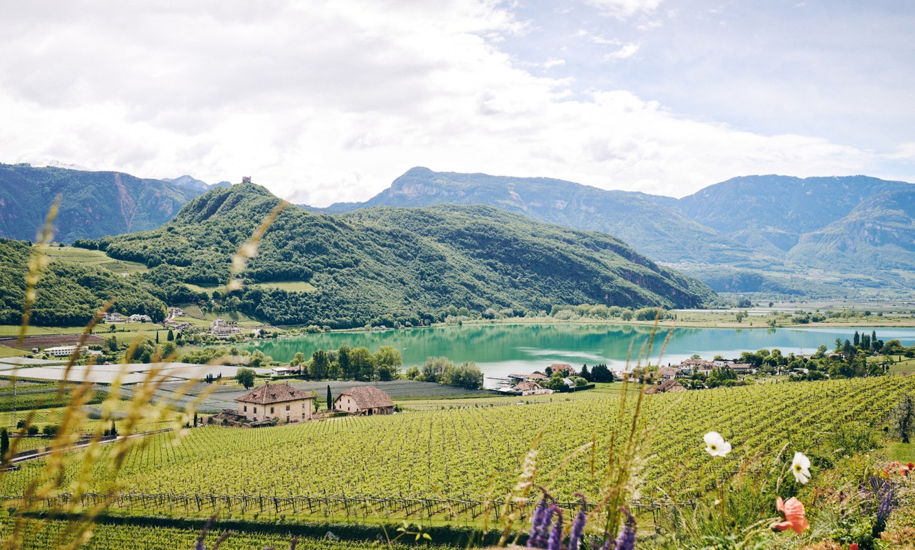 Wanderparadies Kaltern und Umgebung